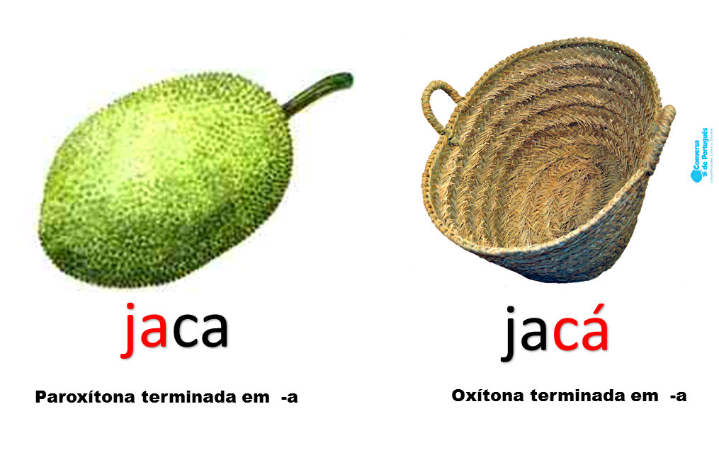 jaca1